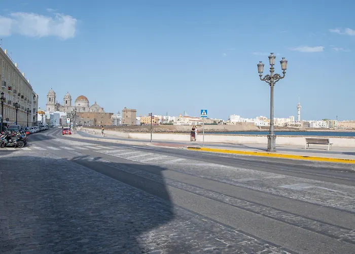 Estudio Viñamar Cadice